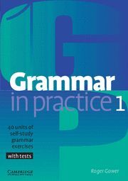 GRAMMAR IN PRACTICE 1