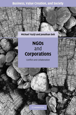 NGOS AND CORPORATIONS