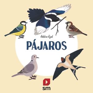 NATURALEZA PAJAROS