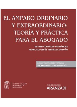 EL AMPARO ORDINARIO Y EXTRAORDINARIO (PERSONALIZACION ESPECIAL ICAM) (PAPEL + E-