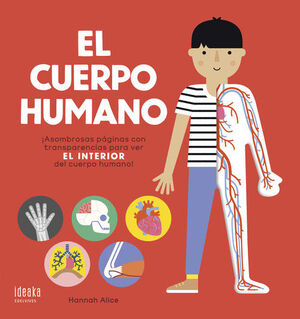 EL CUERPO HUMANO