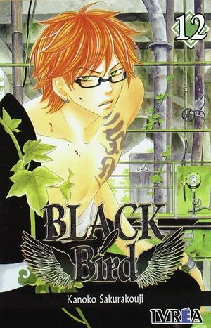 BLACK BIRD 12