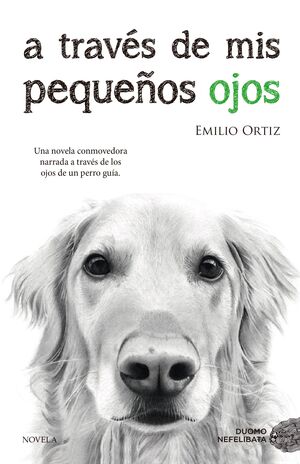 A TRAVES DE MIS PEQUEÑOS OJOS