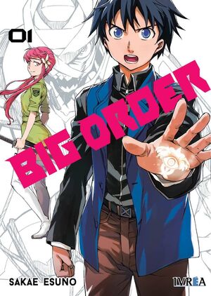 BIG ORDER 1