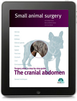 THE CRANIAL ABDOMEN. SMALL ANIMAL SURGERY