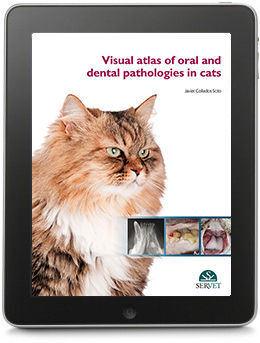 VISUAL ATLAS OF ORAL AND DENTAL PATHOLOGIES IN CATS