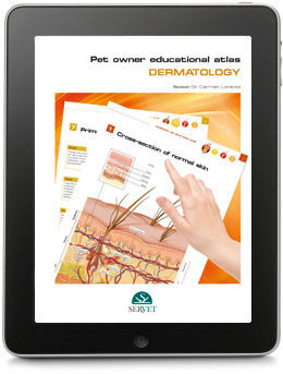DERMATOLOGY. PET OWNER EDUCATIONAL ATLAS