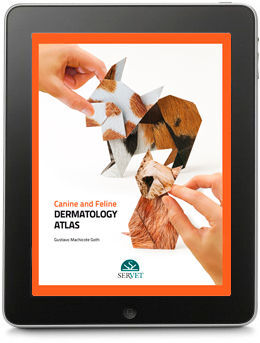 CANINE AND FELINE DERMATOLOGY ATLAS
