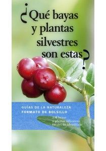 ¿QUE BAYAS Y PLANTAS SILVESTRES SON ESTAS?