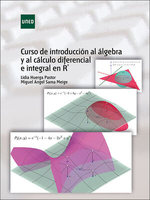 CURSO DE INTRODUCCION AL ALGEBRA Y AL CALCULO DIFERENCIAL E INTEGRAL EN R^N