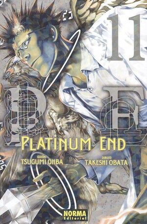 PLATINUM END 11