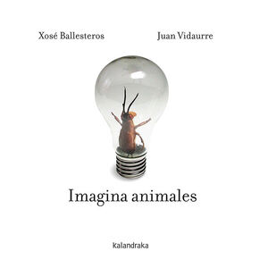 IMAGINA ANIMALES