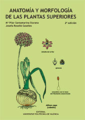 ANATOMIA Y MORFOLOGIA DE LAS PLANTAS SUPERIORES
