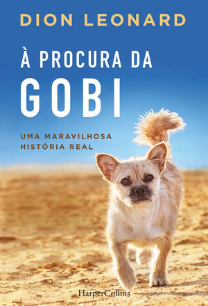 A PROCURA DA GOBI