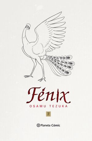 FENIX Nº 07/12 (TRAZADO)