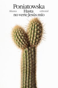 HASTA NO VERTE JESÚS MIO